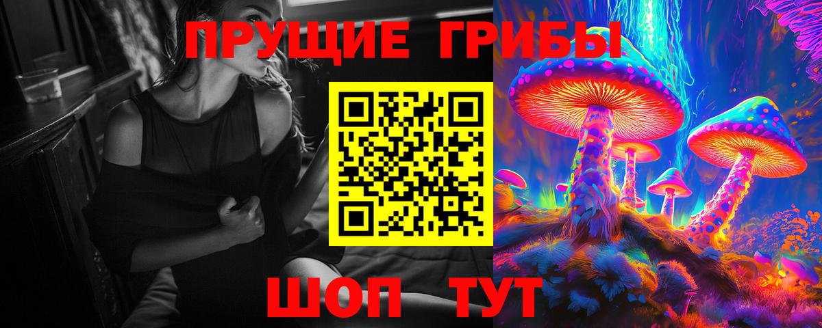 Псилоцибиновые грибы Psilocybe  Вход с VPN  Кумертау 